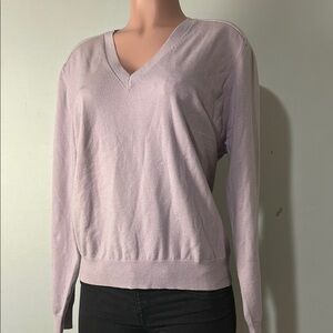 Ann Taylor Long Sleeve Purple Lightweight Top sweater V-Neck Size XL